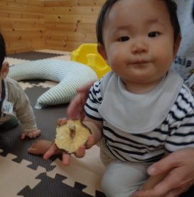 ☆食材観察★