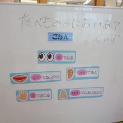 食育イベント☆食べ物の匂い当てクイズ