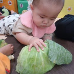 ☆食材観察★