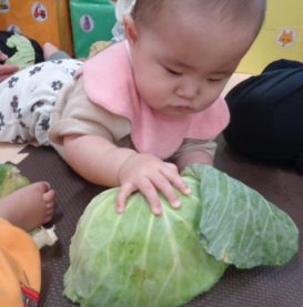 ☆食材観察★