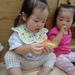 ☆食材観察★