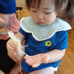 ☆食材観察★
