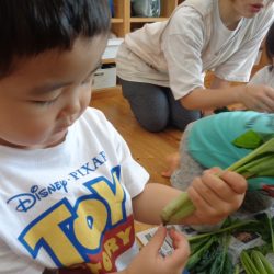 ☆食材観察★